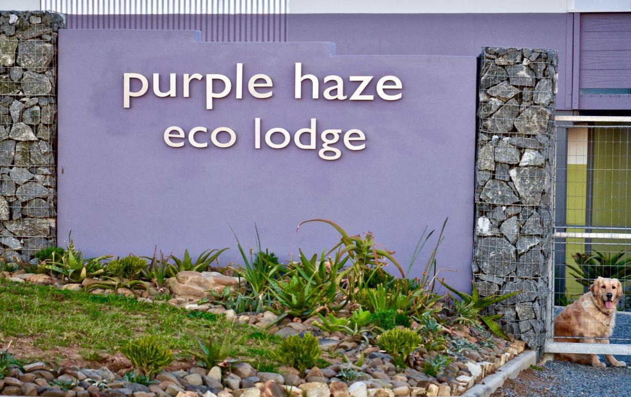 Purple Haze Eco Lodge Чинца Экстерьер фото